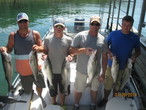 Nice Striped Bass